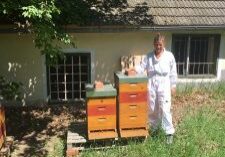bienenstand-biogartenhonig-waldviertel